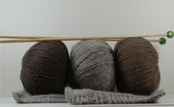 Yak